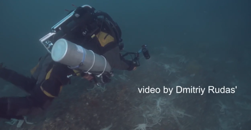 Кладбище на дне моря: удивительное зрелище предстало перед приморским дайвером