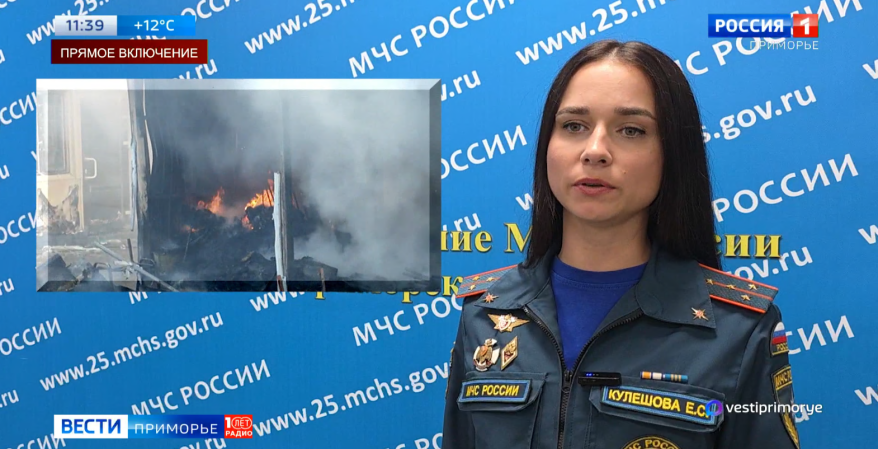 Пожар на рынке и в кафе китайской кухни: происшествия недели в обзоре МЧС Приморья