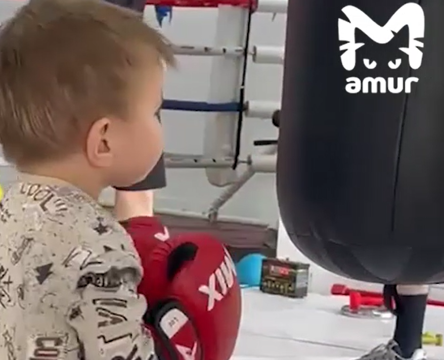 Двухлетний боксер из Владивостока взорвал интернет