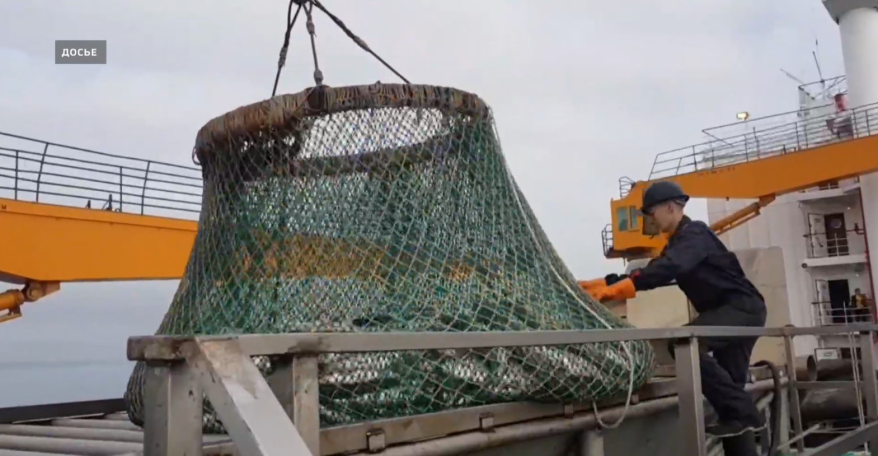 Будет ли сайра и красная рыба на столах приморцев? Прогнозы рыбодобычи озвучили на форуме во Владивостоке