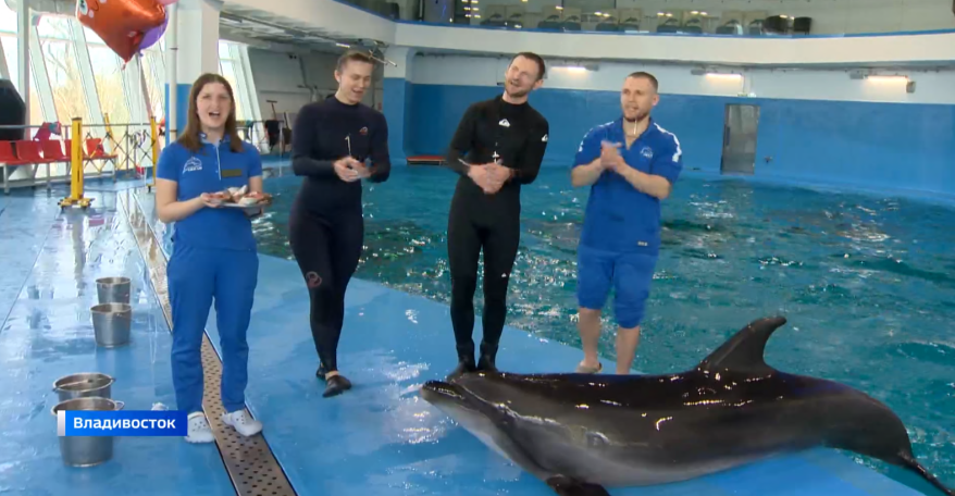 Во Владивостоке черноморский дельфин Тор отмечает 20-летний юбилей