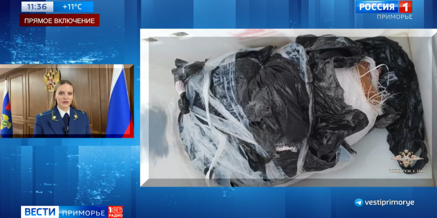 Мошенничество, взятки и "расчлененка": громкие дела на контроле прокуратуры Приморья