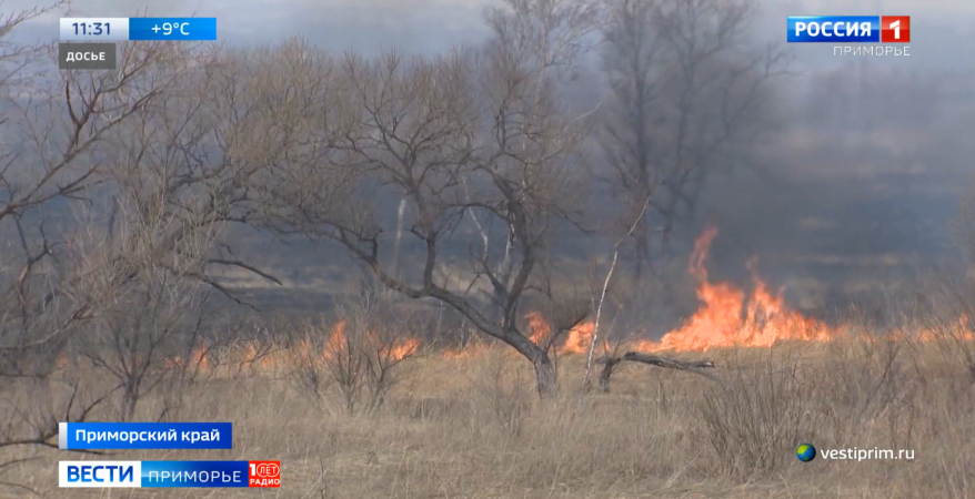 Горячий май ожидается в Приморье: какая часть региона попадет в "красную зону"?