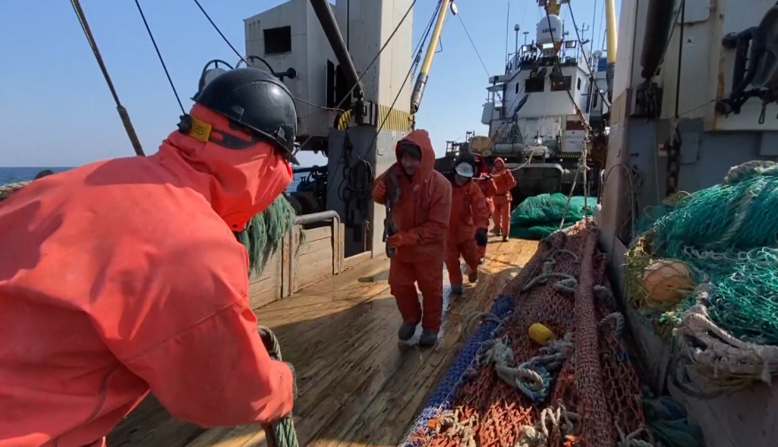 Школа тралмастеров: как в Приморье готовят элиту рыбопромыслового флота. Интервью