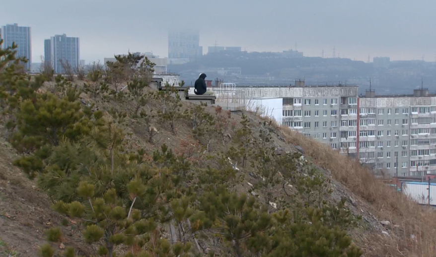 Почему во Владивостоке чистый воздух, несмотря на количество машин? Интервью