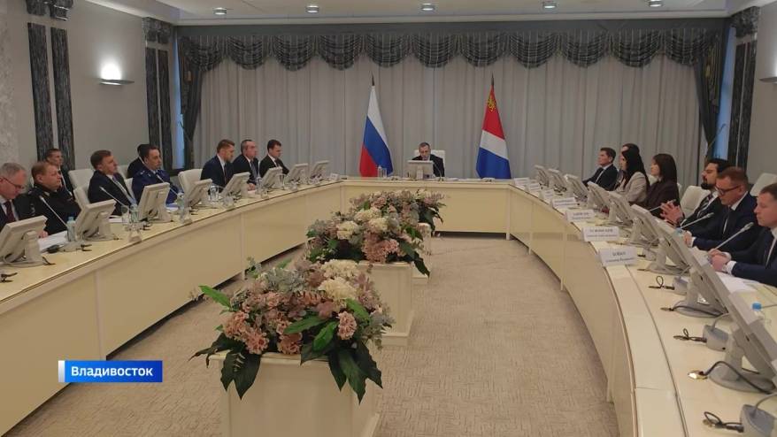 АЭС в Приморье кардинально решит проблему электродефицита