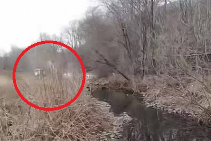 «Наказывать таких надо по полной»: поступок мужчины в кустах у речки «взбесил» приморцев