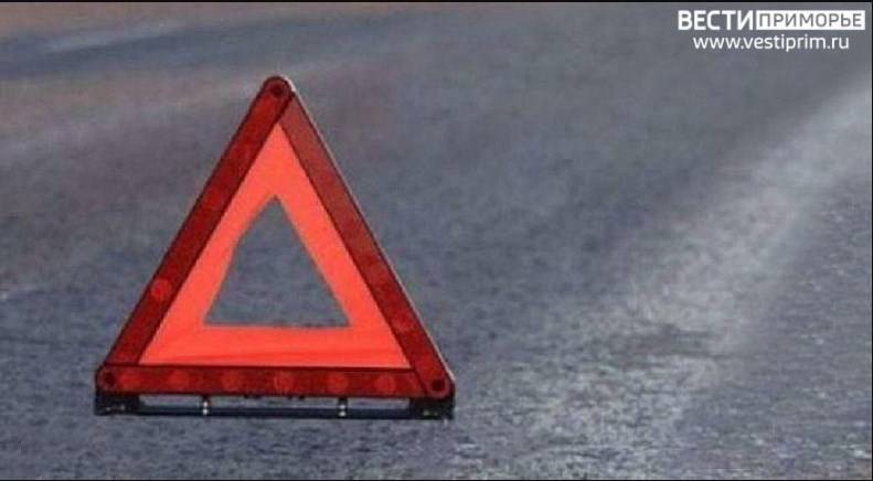 В Приморье дама за рулем наехала на мужчину: пострадавший в реанимации