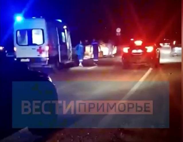 Жуткая авария на трассе в Приморье: авто снесло леера и вылетело с дороги