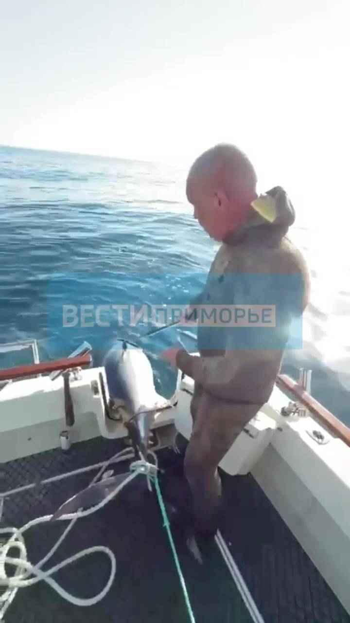 ЗАМОРСКИЕ ГОСТИ УССУРИЙСКОГО ЗАЛИВА