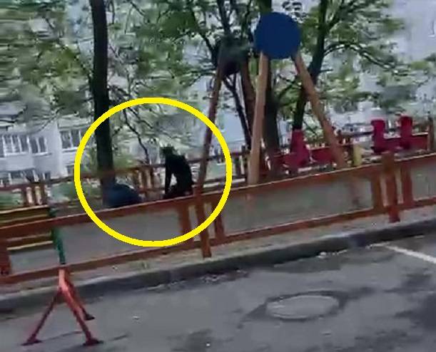 «Штраф 35 тысяч»: за совершение намаза наказан иностранец во Владивостоке