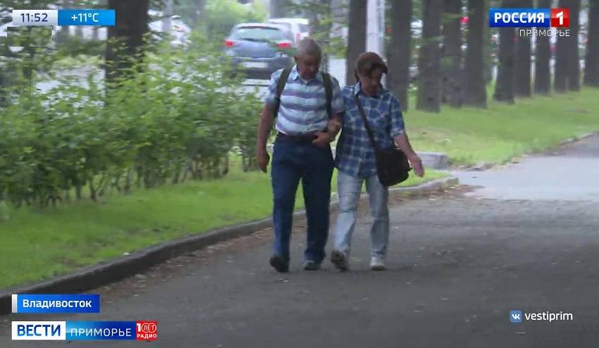 От ясеневого пилильщика спасают «зеленые легкие» Владивостока