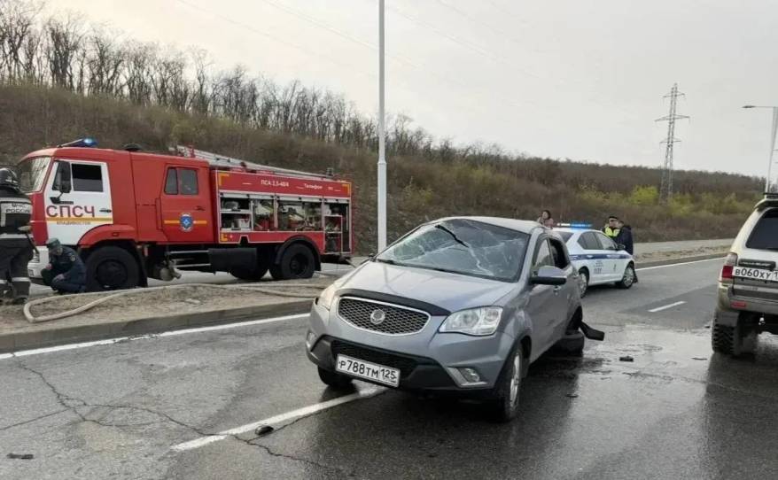 Полиция разыскивает водителя, который скрылся с места жесткого ДТП во Владивостоке