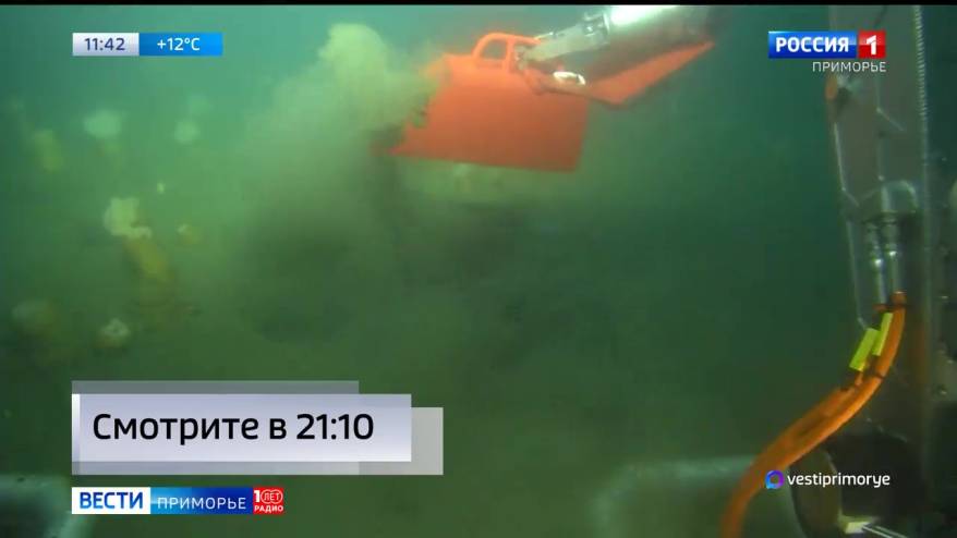 Сенсационную находку обнаружили на дне моря острова Аскольд в Приморье