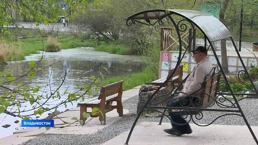 Голоса приморцев решат судьбу парка в пригороде Владивостока