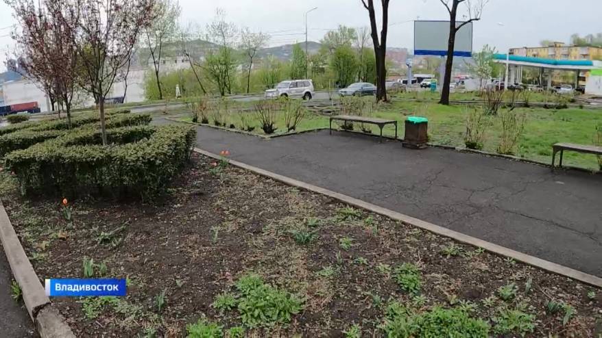 «Сквер на Калинина»: Владивосток выбирает территории для благоустройства