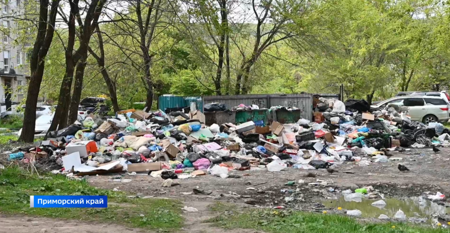 Дополнительную спецтехнику направят в Фокино и Большой Камень для решения мусорной проблемы