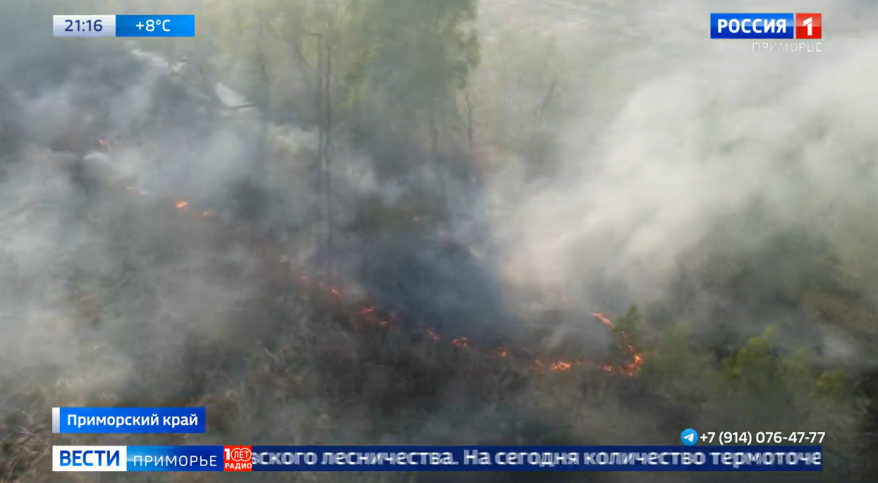 Почти шесть суток тушили крупный пожар на севере Приморья