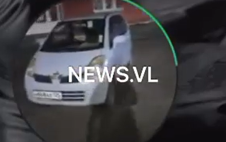 Заперли в машине: жестокая акция зоозащитников во Владивостоке вызвала осуждение приморцев
