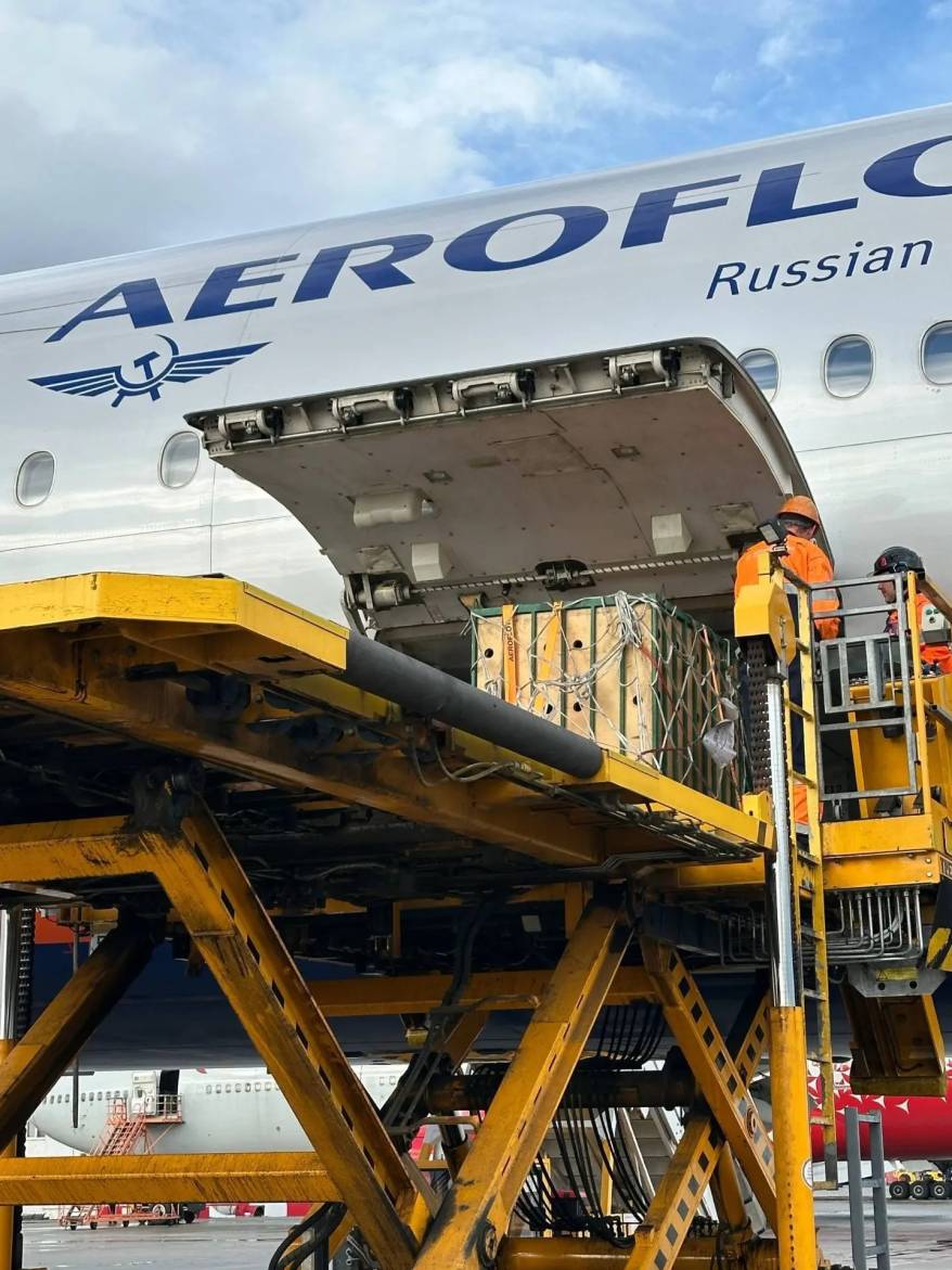 Спасенную в Приморье медведицу Майку доставили в Москву