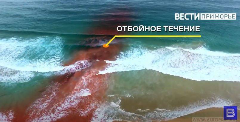 Серферы спасли восемь человек из отбойного течения в Приморье