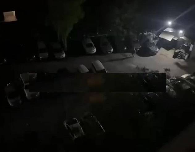 «Толпой на одного»: драка на стоянке авто напугала жителей Владивостока