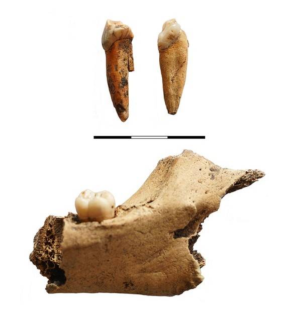 Останки человека возрастом 12 000 лет найдены в Приморье