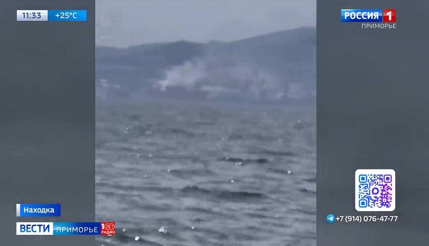 Открытая разгрузка глинозёма в Находке возмутила приморцев