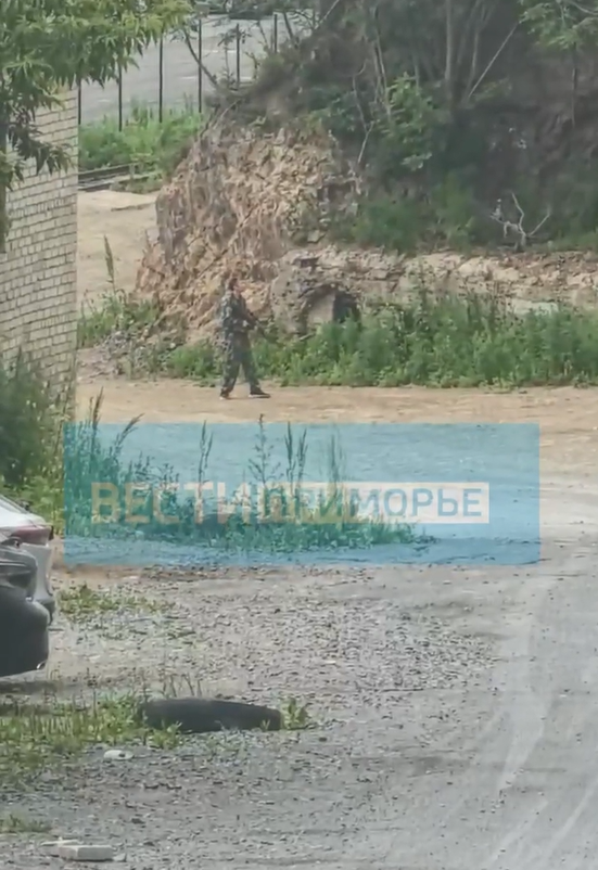 В центре Владивостока слышны выстрелы: охотоведы выследили медведя