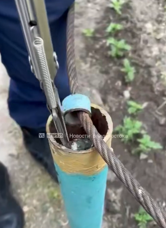 Два птенца застряли в узкой трубе во Владивостоке