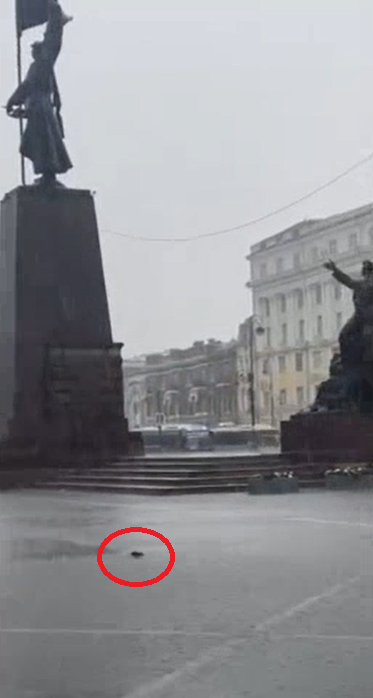 Сильный ливень затопил улицы во Владивостоке и повыгонял крыс из их убежищ
