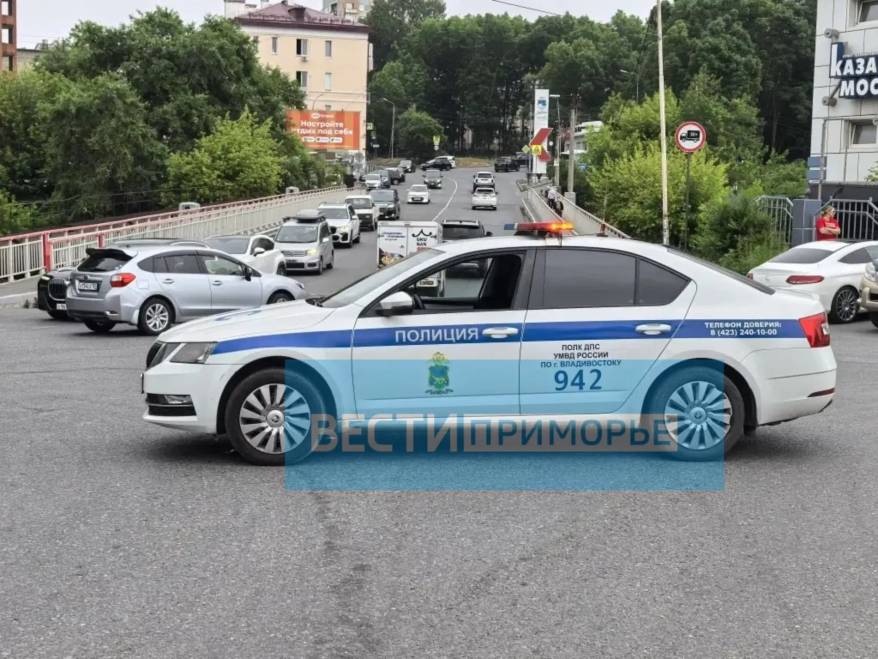 Автоматчики оцепили территорию: в центре Владивостока ловят медведя