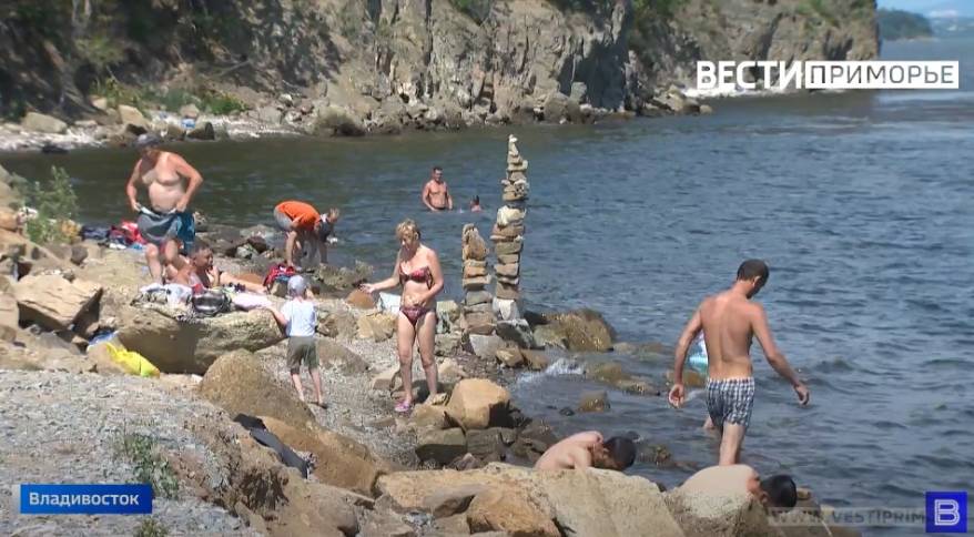 «Поражают токсично»: опасные медузы появились у берегов Приморья