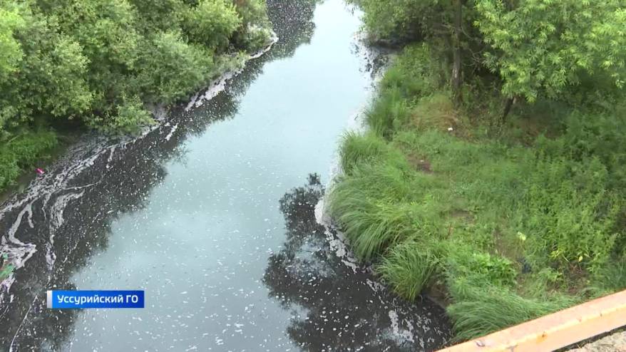 Речка в Приморье тихо умирает: рыба дохнет в черной воде, вонь разносится по округе