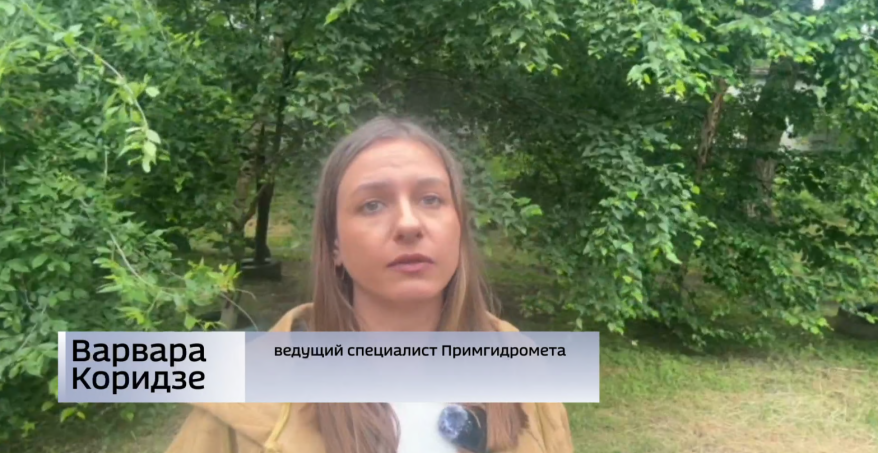 Ливни, грозы и усиление ветра: синоптики уточнили прогноз на ближайшие выходные