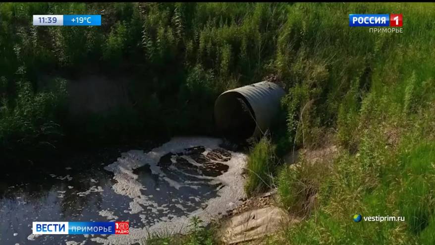 Дело - труба? Экологическая катастрофа разрастается под Уссурийском