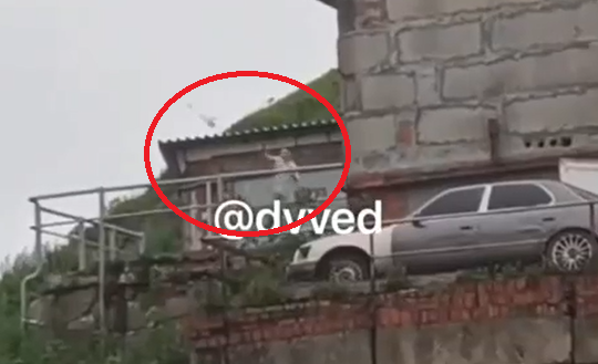 Во Владивостоке подростки обстреливают камнями машины и прохожих