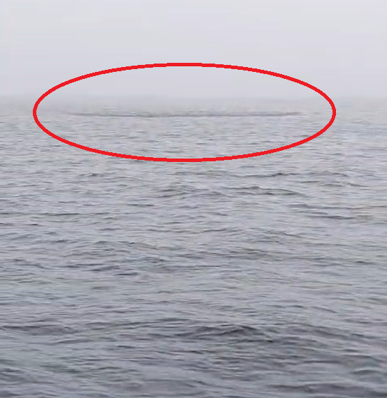 "Косяк прет, море аж кипит": щедрый подарок преподнесло море приморским рыбакам