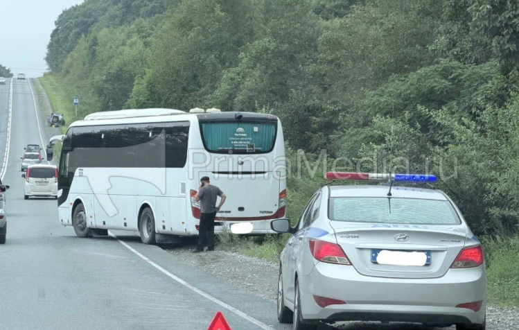 В Приморье пассажирский автобус попал в ДТП