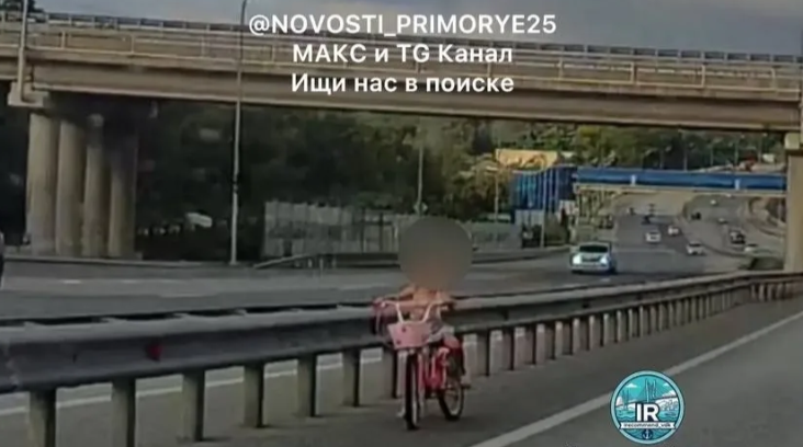 «Ребенок на скоростной трассе»: автоледи шокирована увиденным в пригороде Владивостока