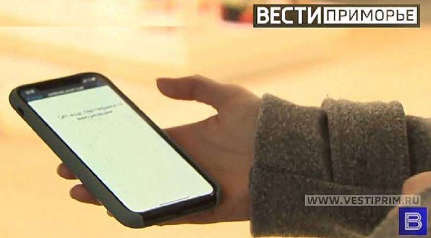 Приморцев предупреждают о возможных перебоях связи и интернета на время ВЭФ
