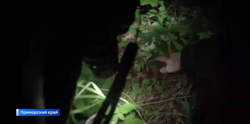 "Пять дней бились за его жизнь...": в Приморье завершены поиски Николая Касьяненко