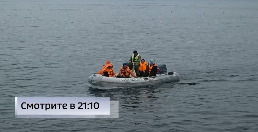 "Попался необычный вид": приморские ученые вернулись из морской экспедиции во Владивосток