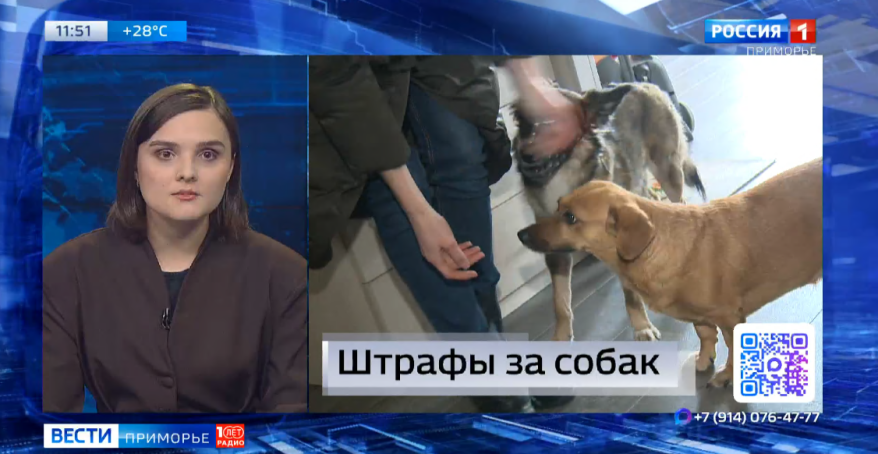 Темы дня: Туристический поток. Штрафы владельцам собак. Лотосы зацвели