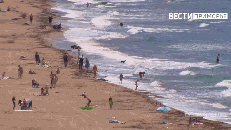 Все бегут с ведрами: дары моря вызвали ажиотаж на побережье Владивостока