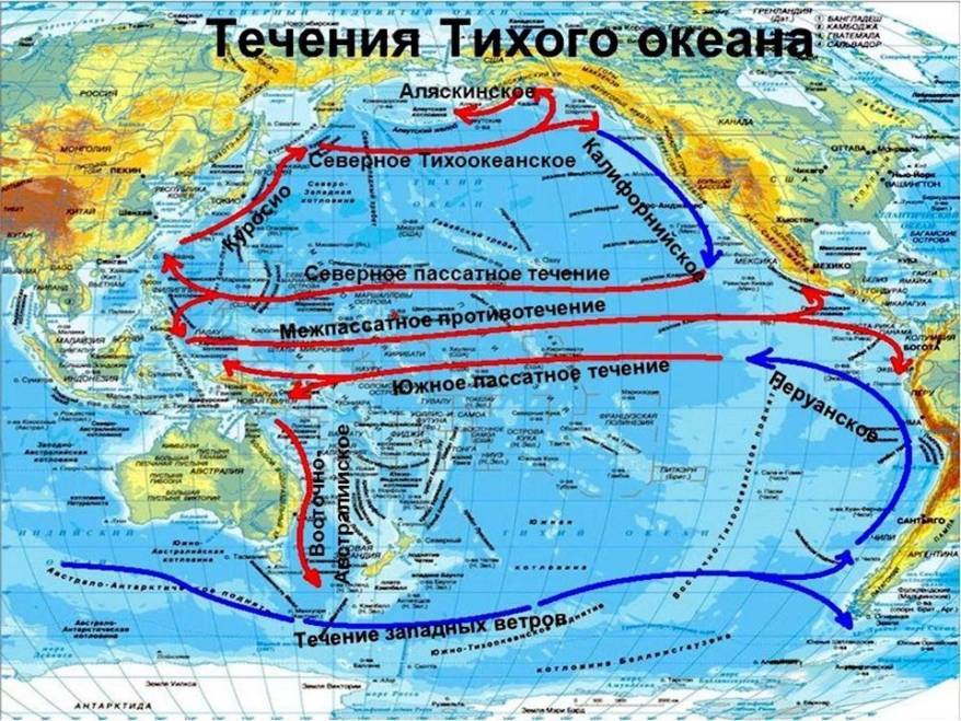 Зима в России будет аномально теплой из-за Эль-Ниньо
