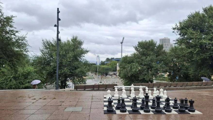 Во Владивостоке из "Семи сопок" "угнали" коня