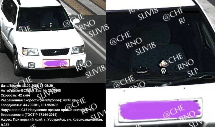 В Приморье автолюбительница получила штраф за «призрака»