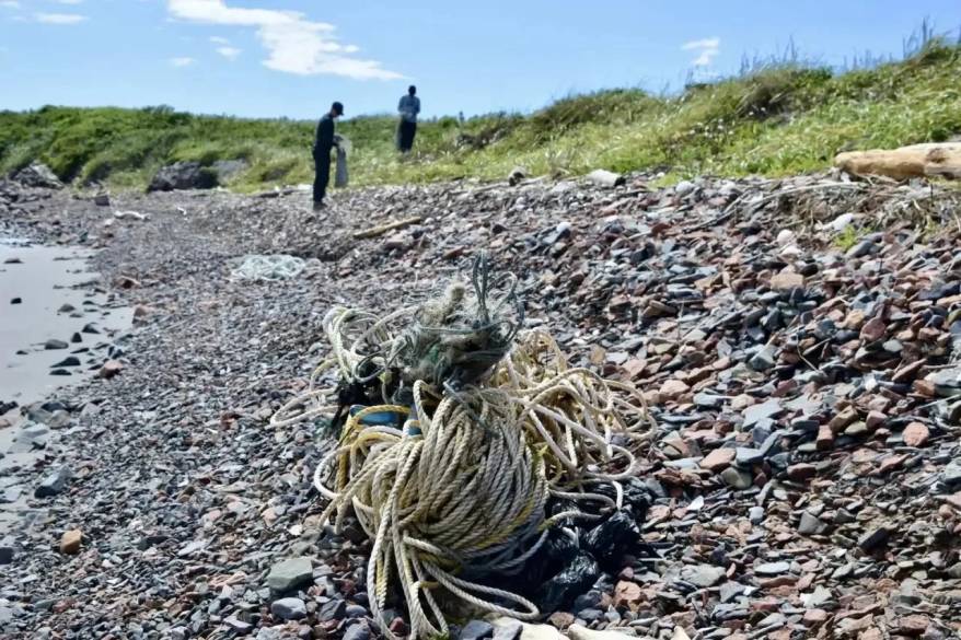 Береговую полосу морского заповедника на острове Попова очистили от мусора
