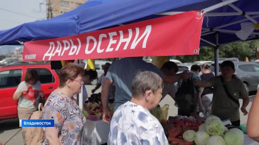 Во Владивостоке разворачивается масштабная торговля местными овощами. Цены